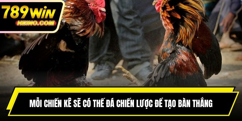 Mỗi chiến kê sẽ có thế đá chiến lược để tạo nên bàn thắng